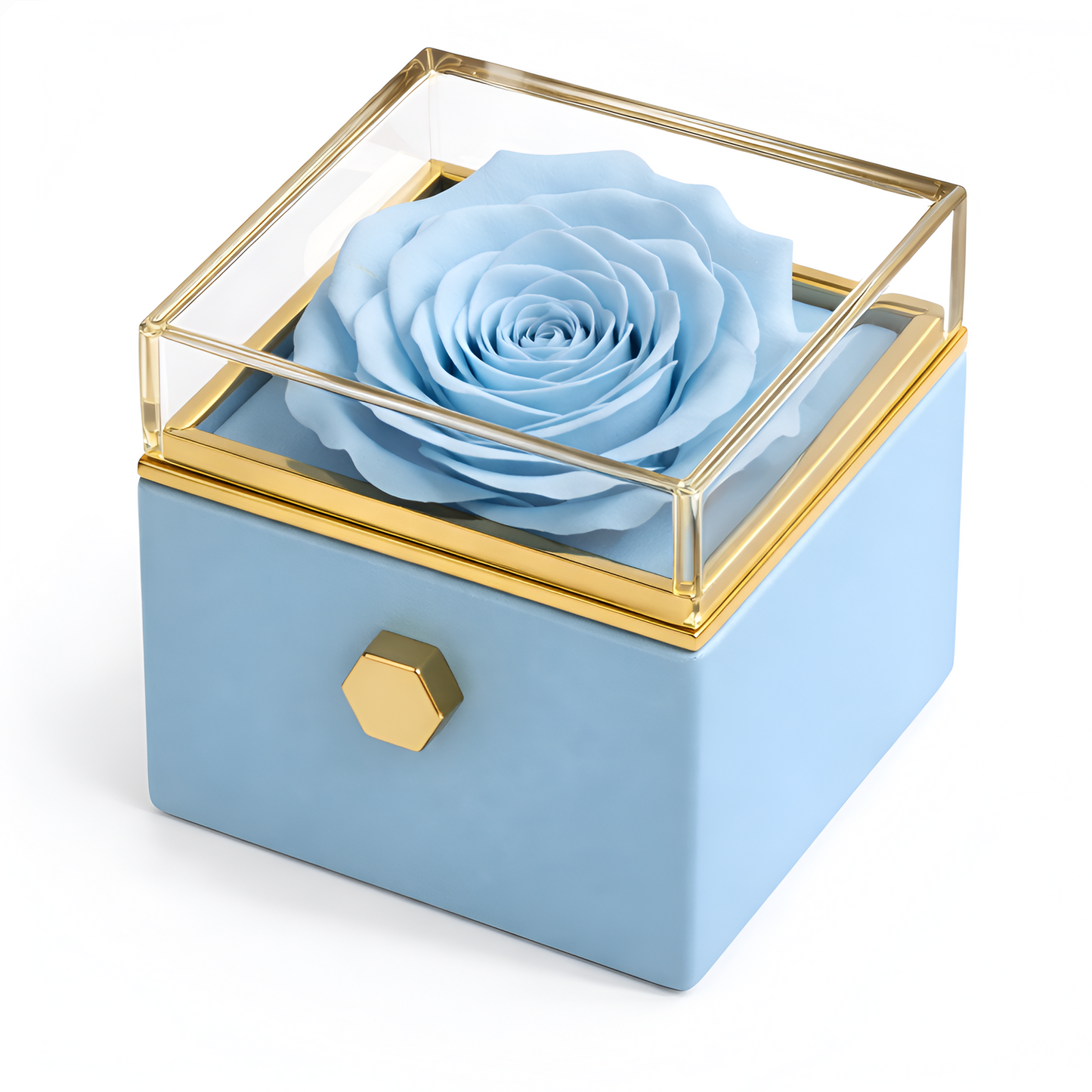 Real Rose Box & Personalized Necklace