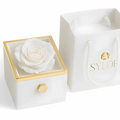 Real Rose Box & Linked Bracelet