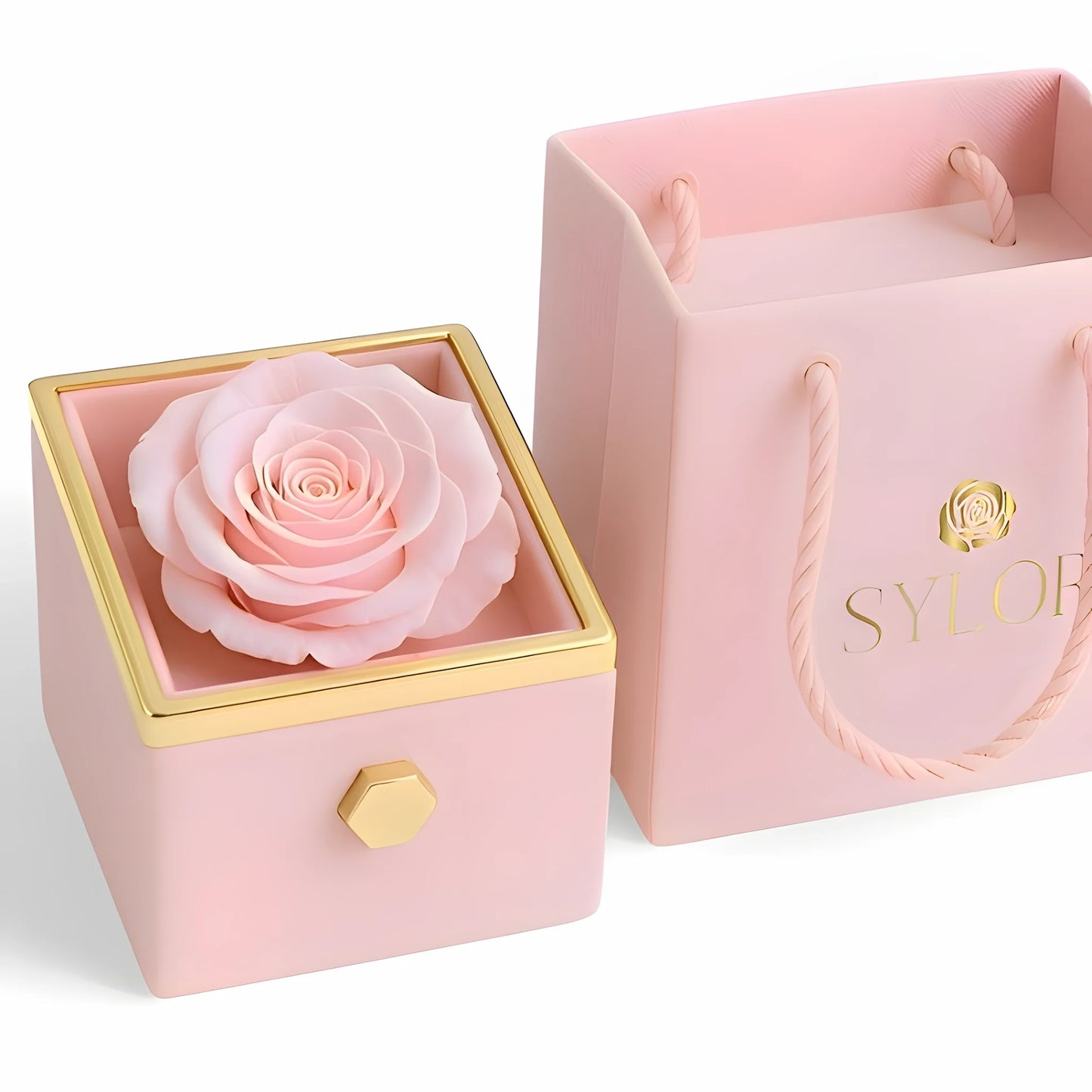 Real Rose Box & Linked Bracelet